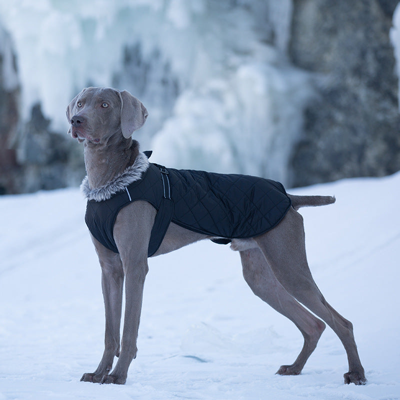 Pet Clothing Cotton Coats Wholesale, Winter