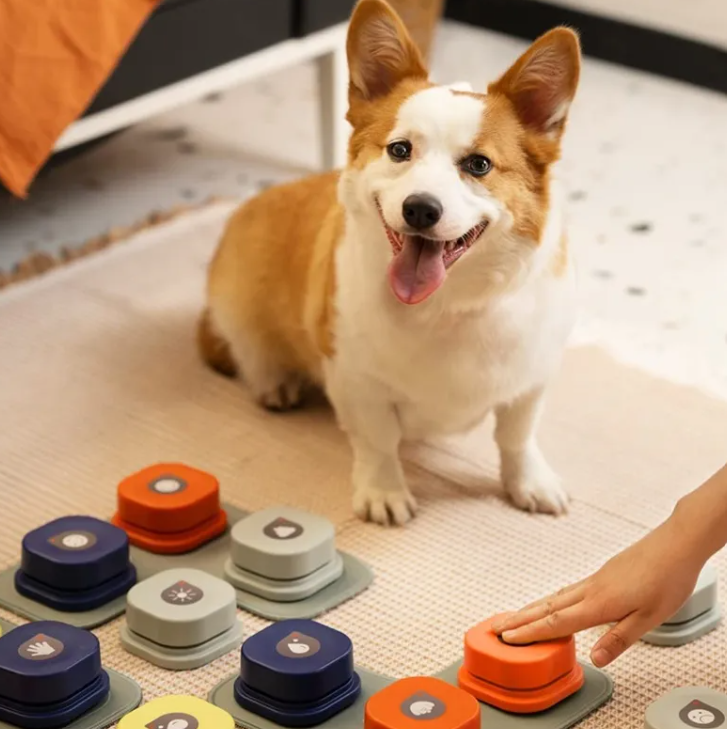 Pet Toy is an engaging accessory