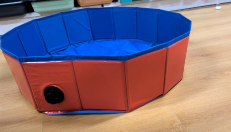 Pet Pool Dog