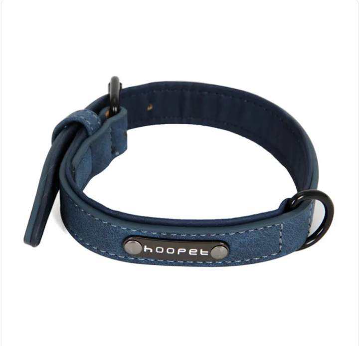 Adjustable Dog Collar &amp; Leash Set