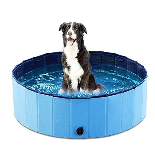 Pet Pool Dog