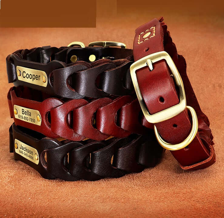 medium large braided leather dog collar