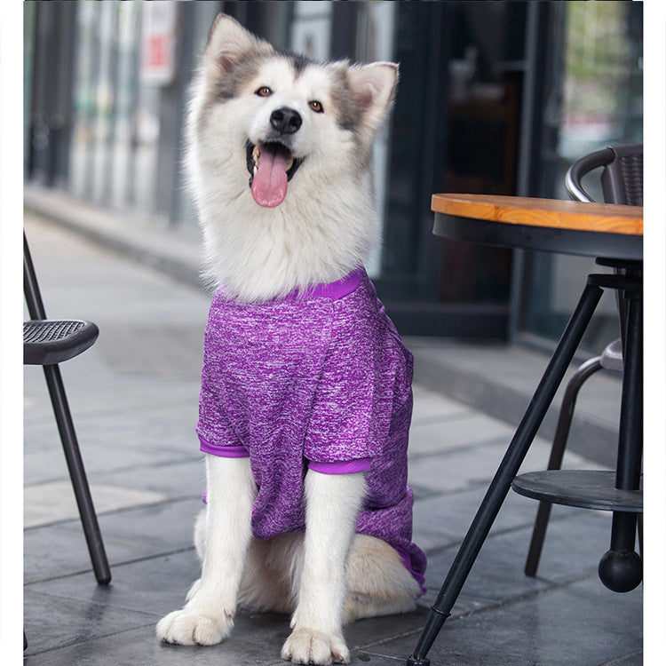 Dog Wool Warm And Comfortable Sweater