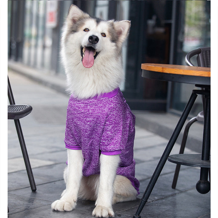 Dog Wool Warm And Comfortable Sweater
