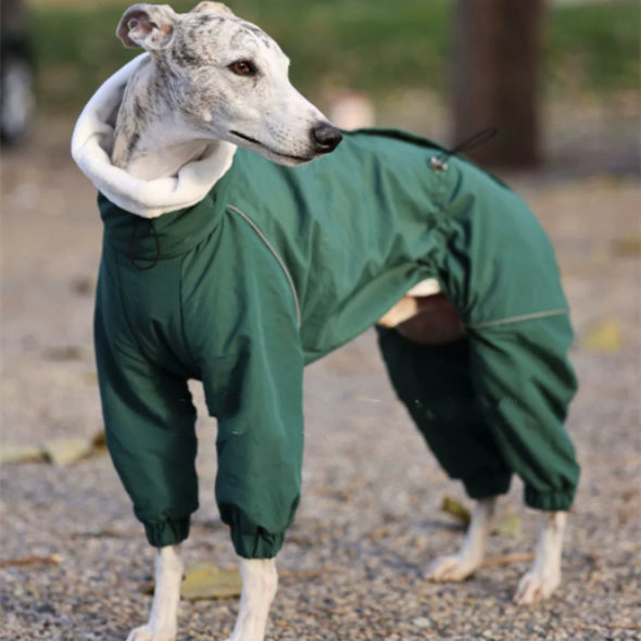Pet Windbreaker With Zipper Cotton-padded Jacket