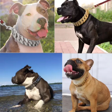 Stainless Steel Cast Dog Collar