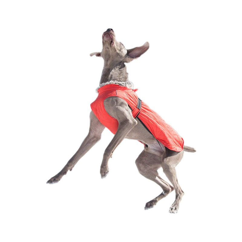 Pet Clothing Cotton Coats Wholesale, Winter