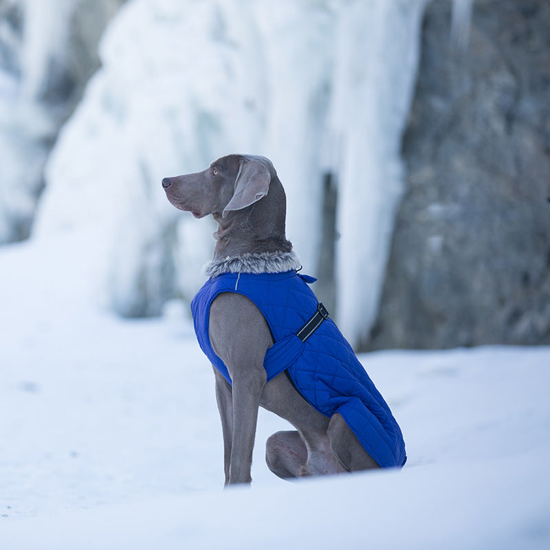 Pet Clothing Cotton Coats Wholesale, Winter