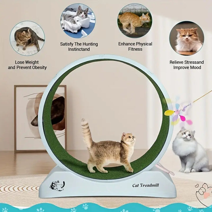 Pet Fitness Wheel - Interactive Treadmill for Cats and Dogs Grey