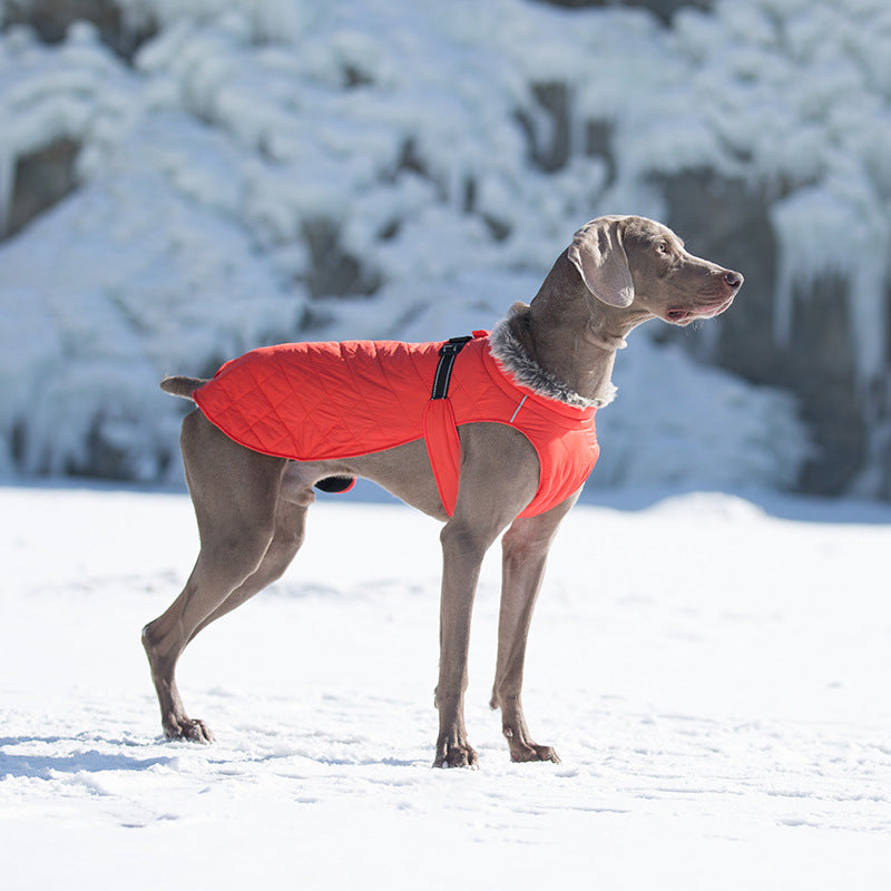 Pet Clothing Cotton Coats Wholesale, Winter