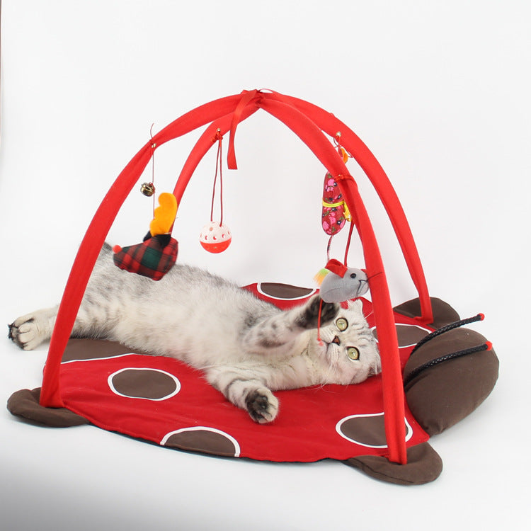 Cat Play Bed