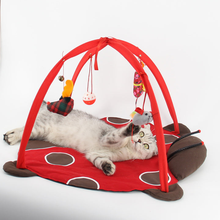 Cat Play Bed