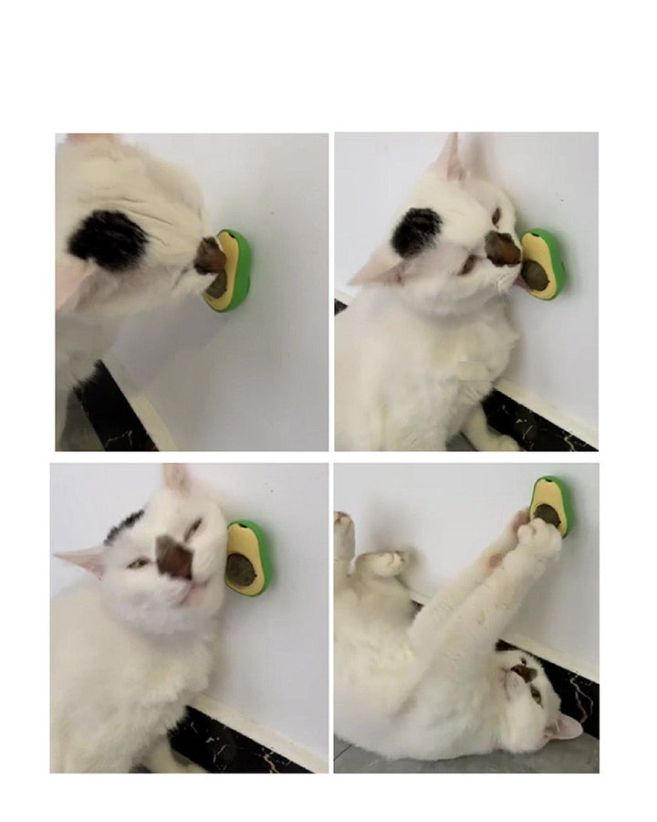 Avocado Cat Mint