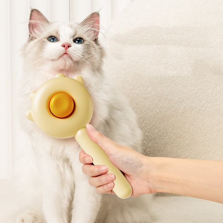 Cat Comb Massage