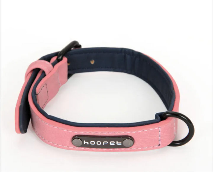 Adjustable Dog Collar &amp; Leash Set