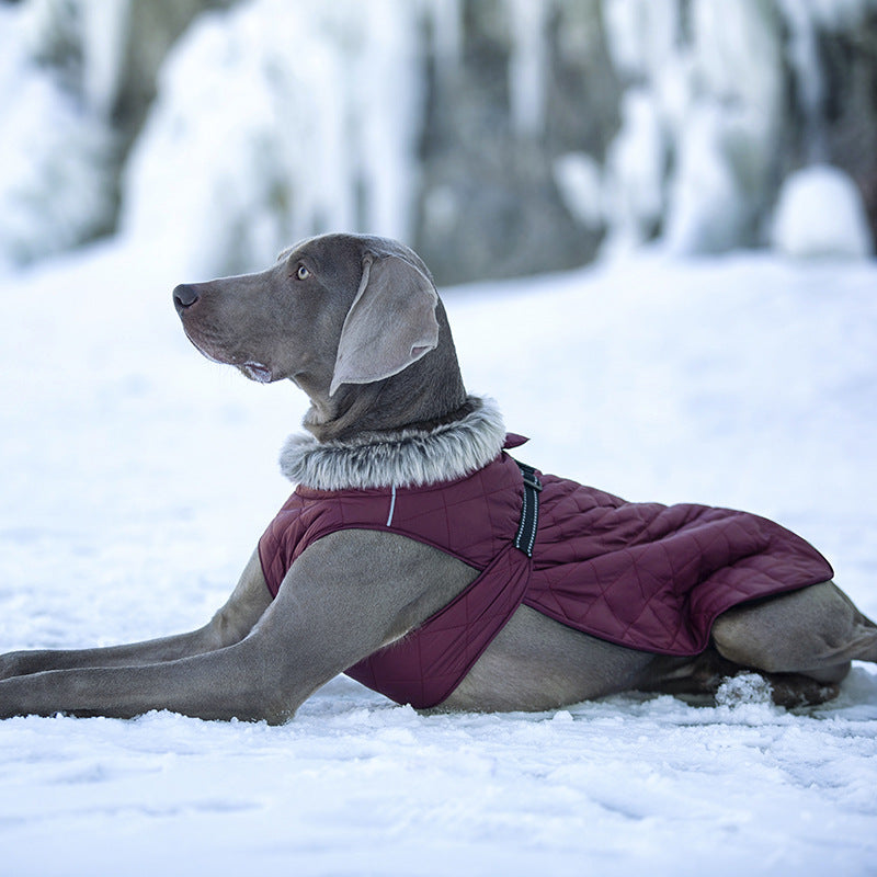 Pet Clothing Cotton Coats Wholesale, Winter