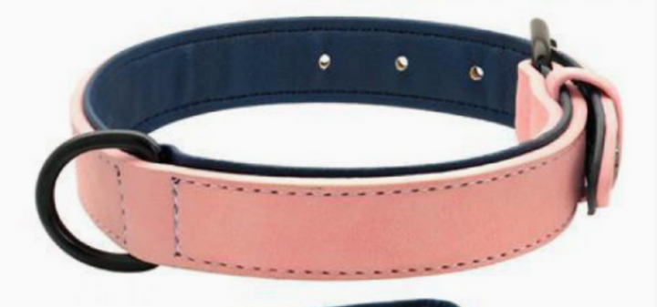 Adjustable Dog Collar &amp; Leash Set