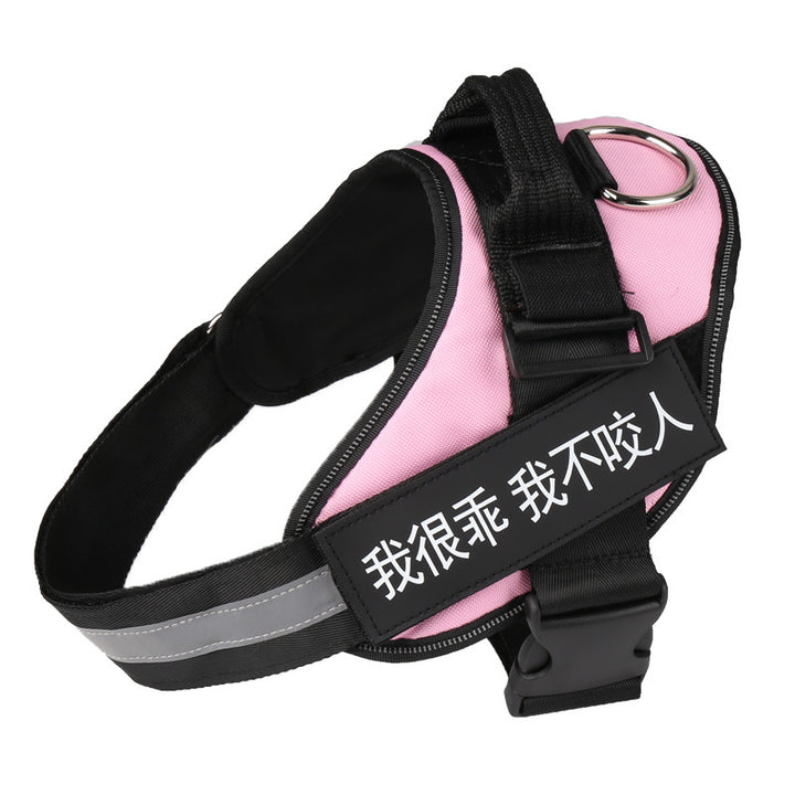 Personalized Dog Harness