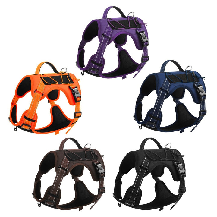 Pet Hand Holding Rope 