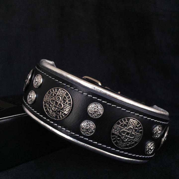"Hektor" Collar is a stylish and practical dog accessory