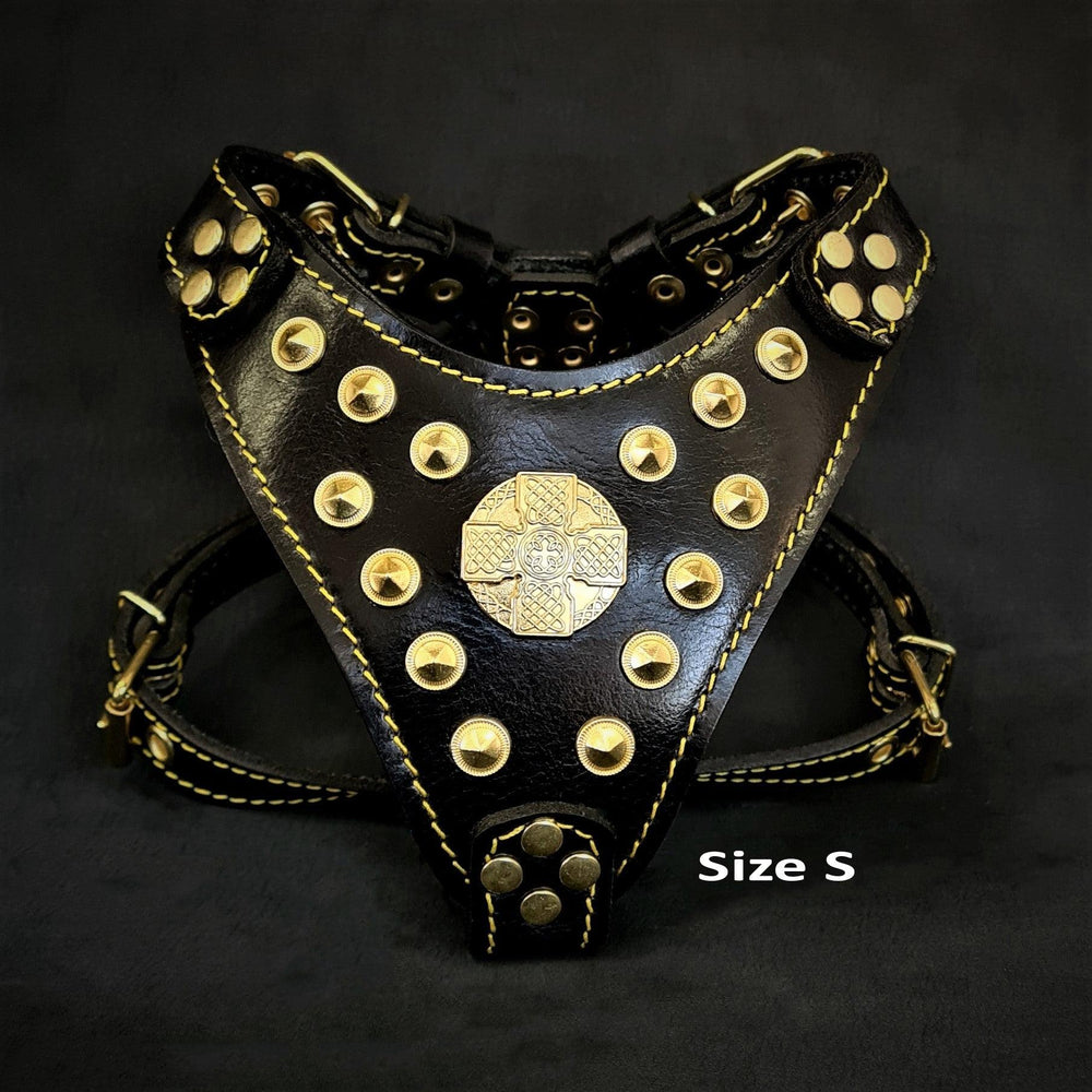 The ''Maximus'' harness Black & Gold