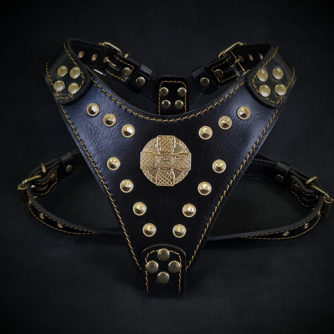 The ''Maximus'' harness Black & Gold