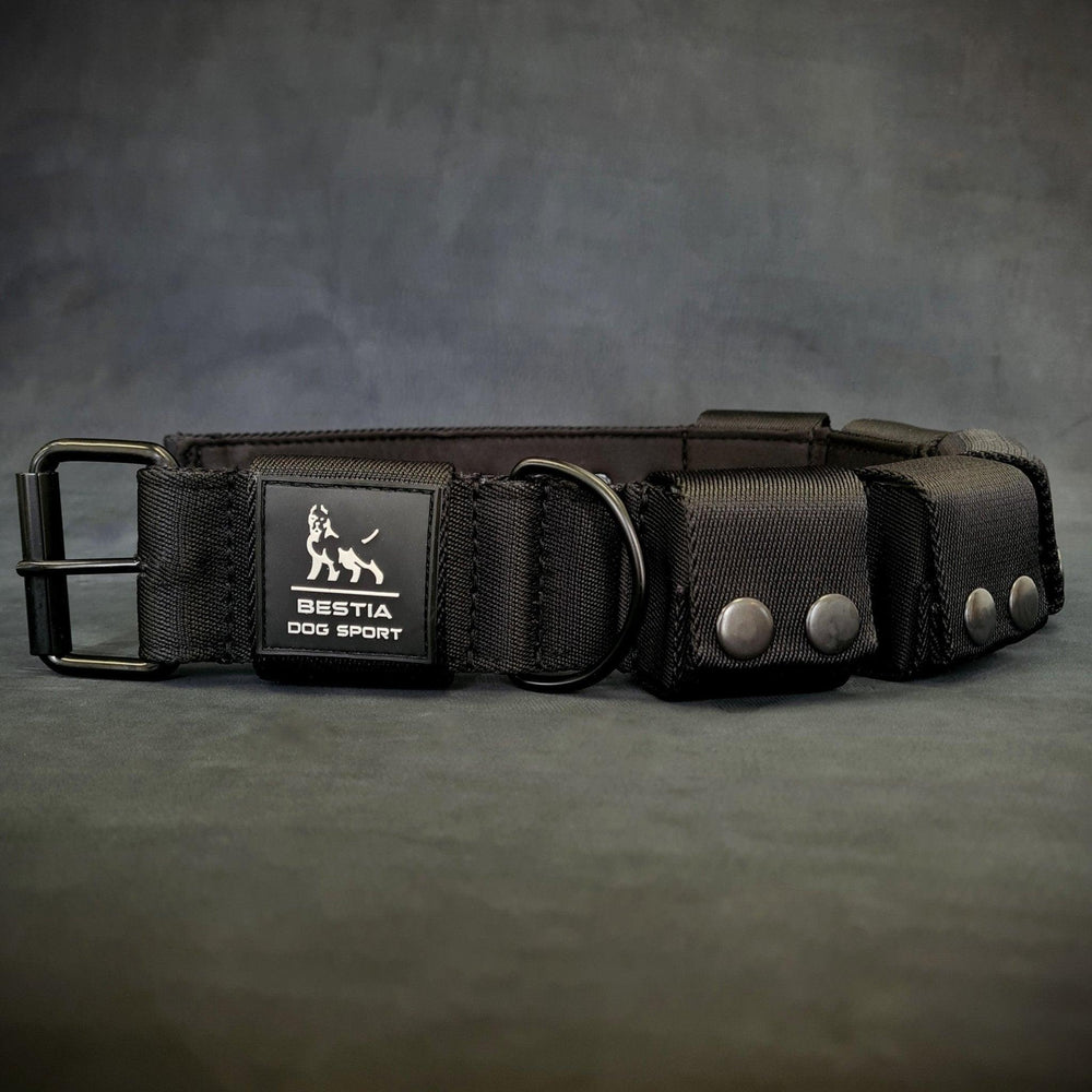 Weighted dog training collar. Large breeds. 5 lbs total.
