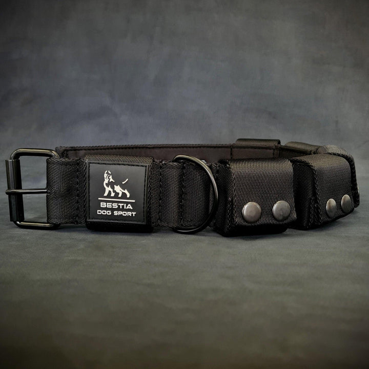 Weighted dog training collar. Large breeds. 5 lbs total.