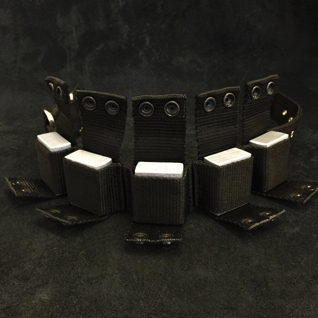 Weighted dog training collar. Large breeds. 5 lbs total.